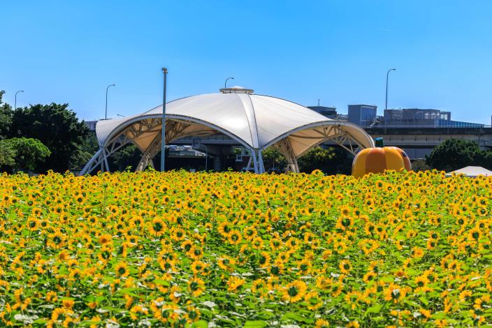 大佳河濱花海鄰近基9號水門(大佳疏散門)