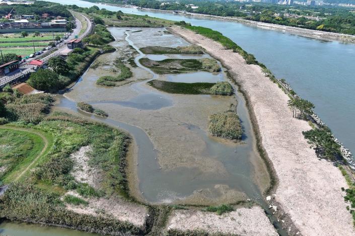 改善完成後退潮階段的空拍影像顯示社子島濕地已恢復為以感潮灘地為主的棲地型態 且營造出的潮池及潮溝環境 在退潮時也能提供不同棲地需求的鳥類及水生動物棲息.JPG