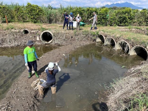 在開始插秧前，先說明植入蘆葦地下莖的方式及空間規劃