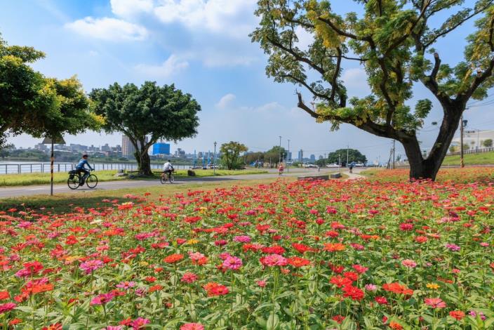 北市首波河濱花海就在河雙21號河濱公園