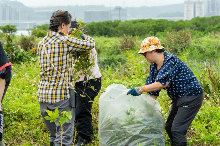 大家一起齊心協力維護鹵蕨的棲地