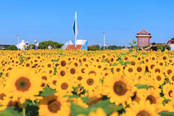這次花海主題為「穿梭花海，航向幸福」，因此設有「船型眺望台」