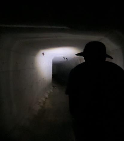 志工們透過沉浸式體驗觀察蝙蝠的棲息環境 (2)