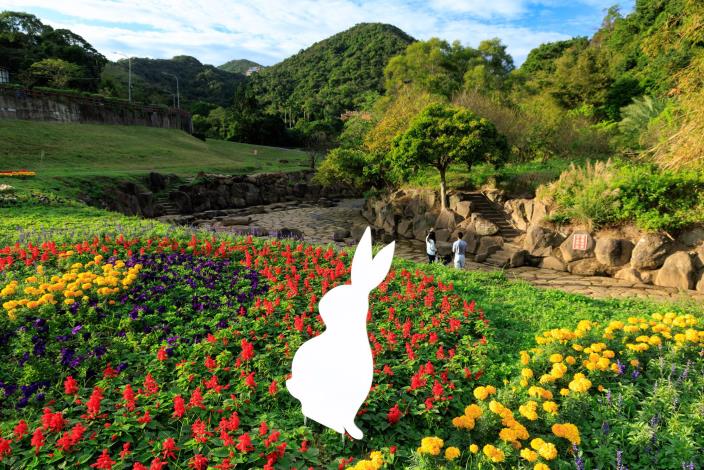 花海周邊有許多可愛的小動物們與民眾共遊