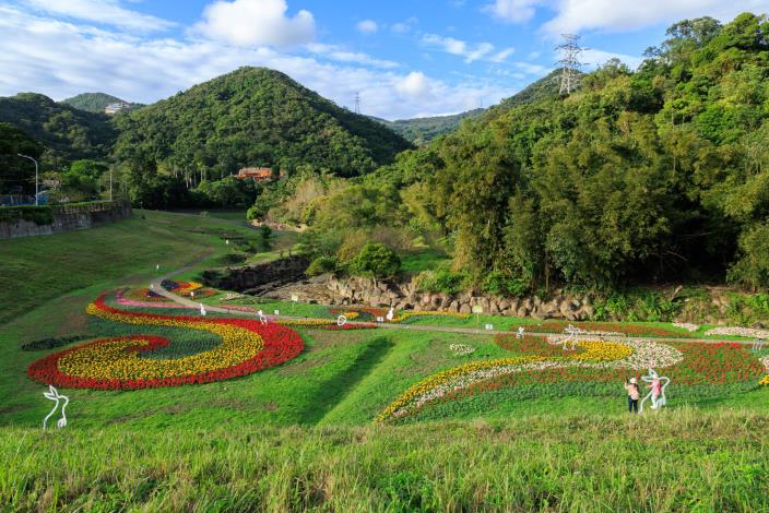 大溝溪花海賞花期至115年2月初