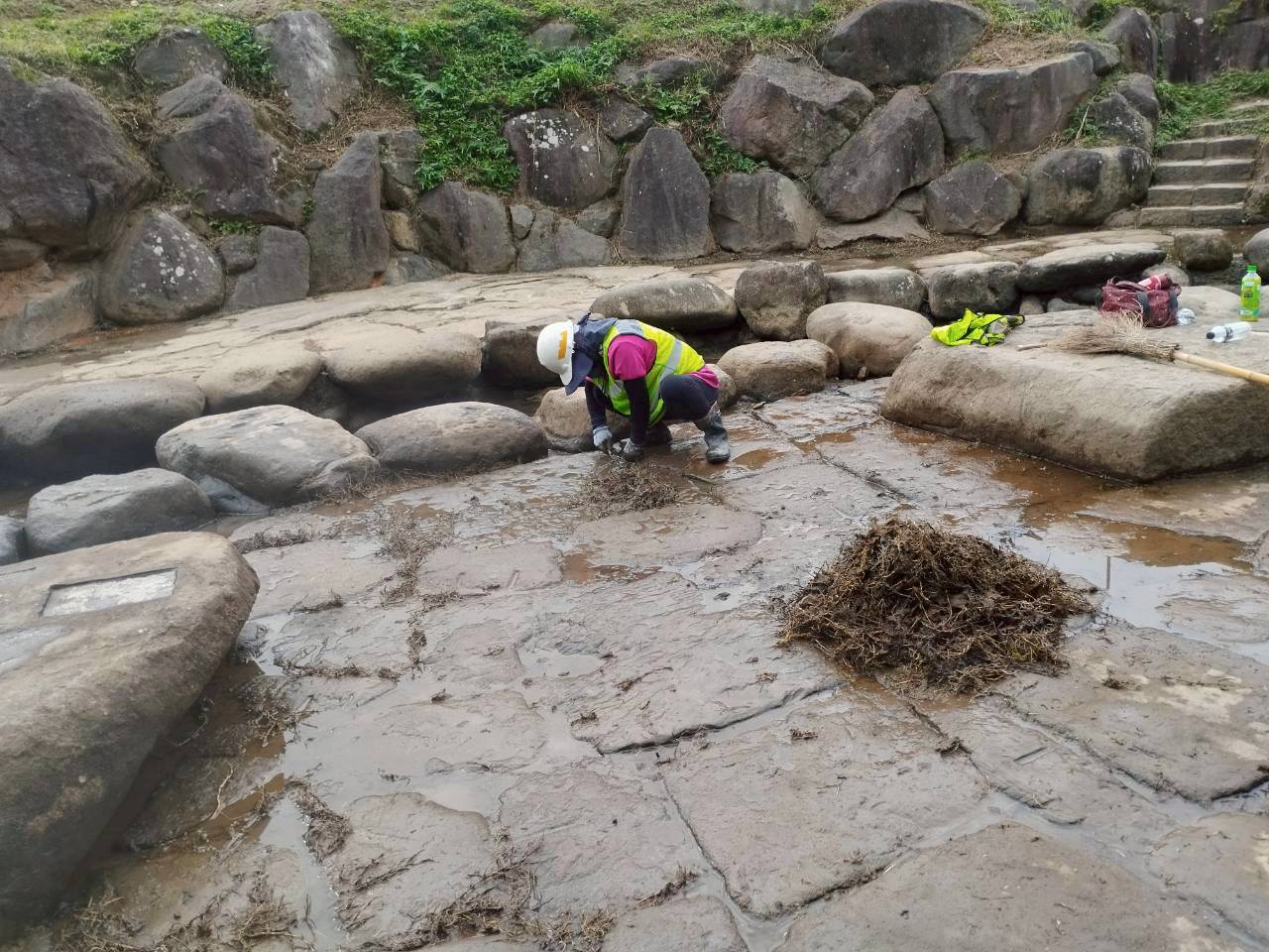 圖片來源：臺北市政府