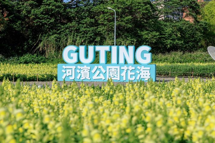 古亭河濱花海 繽紛綻放中 (1)