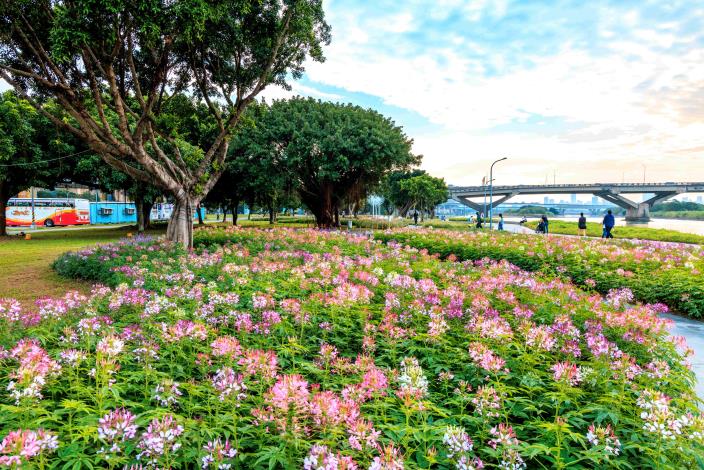 在蜿蜒的樹叢 下營造浪漫氛圍的花海