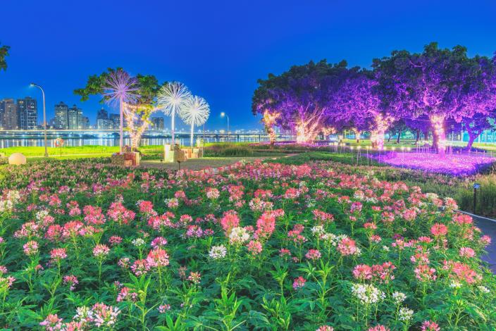 延平河濱花海 草地上鋪設紫藍色系的草網燈增加夜間浪漫氛圍