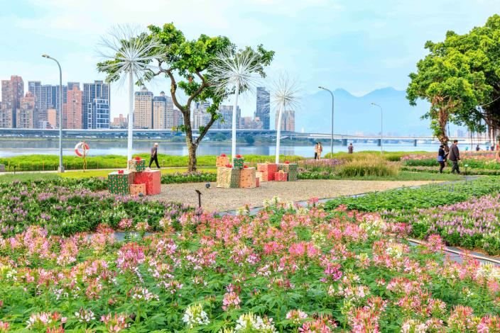 延平河濱花海 賞花期自即日起持續到聖誕節