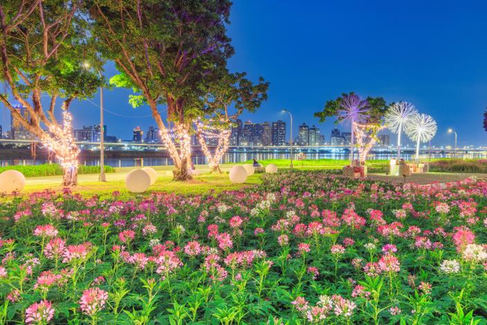 延平河濱花海 夜間燈光一路延伸到草地上 超浪漫