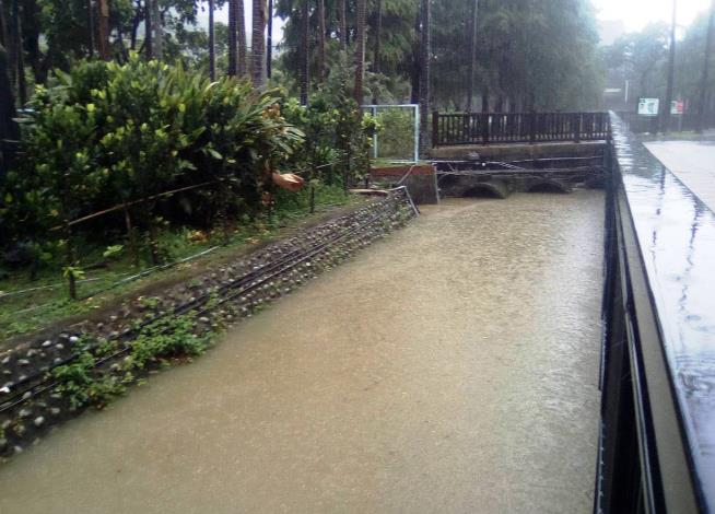士林官邸明溝水位壅高照片2