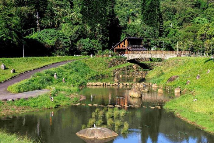 水流平緩開闊且水生植物生長豐富的滯洪池是許多蜻蜓偏好的棲地環境