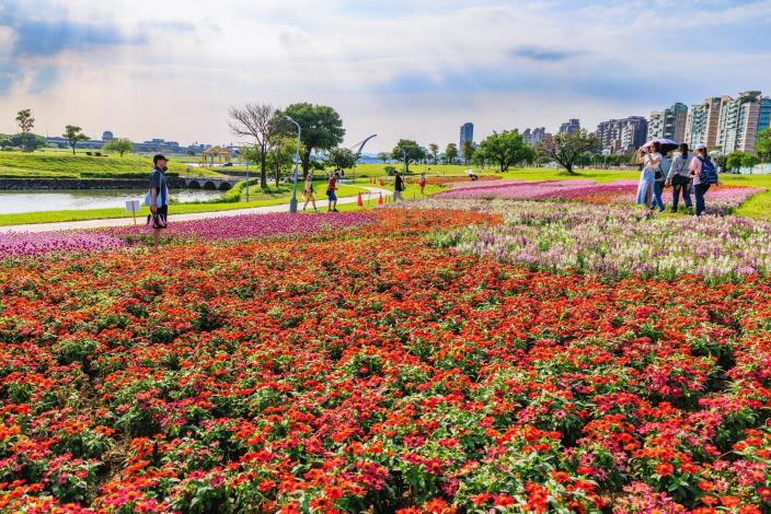 中秋連假好去處 美堤河濱5萬盆花海盛開