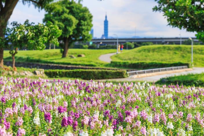 花海位置可遠眺101大樓