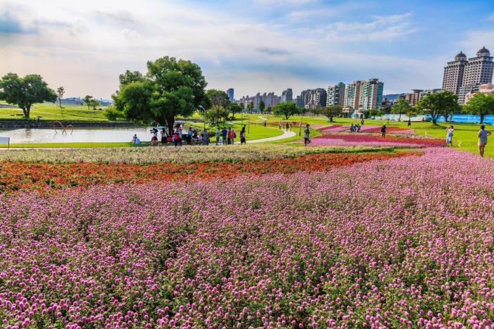 美堤河濱5萬盆草花營造自然的繽紛視覺