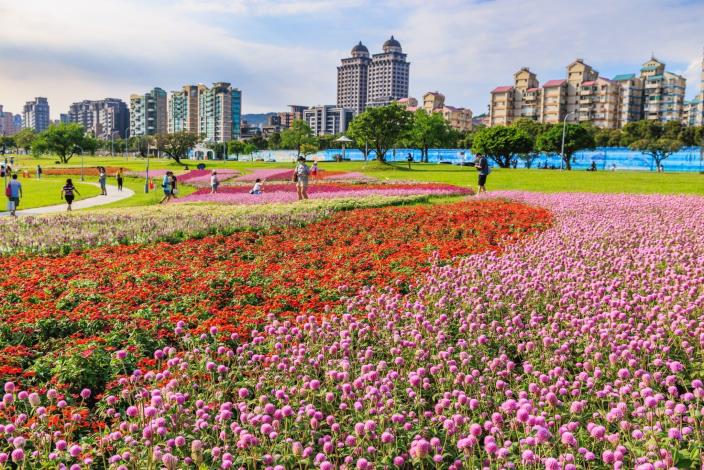 中秋連假好去處 美堤河濱5萬盆花海盛開