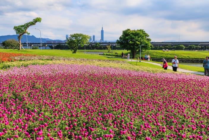 中秋連假好去處 美堤河濱5萬盆花海
