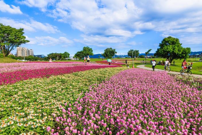 中秋連假好去處 美堤河濱5萬盆花海盛開