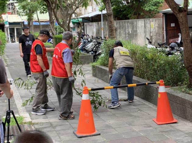 朱崙里路樹障礙移除.JPG