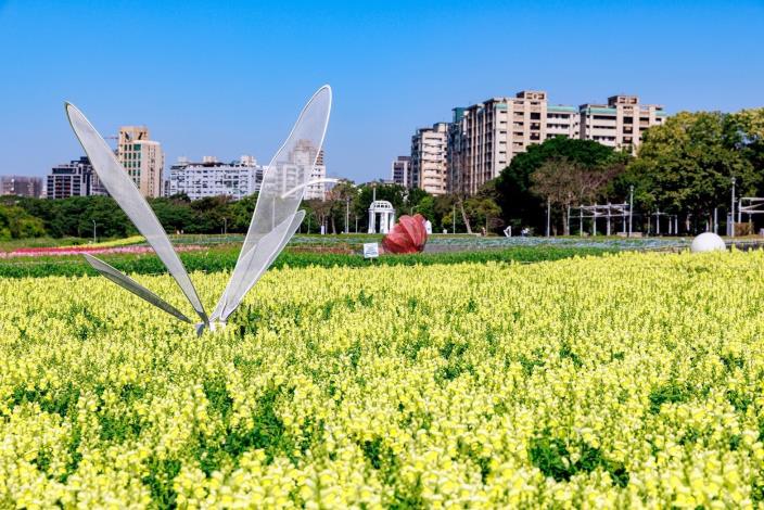 古亭河濱花海 繽紛綻放中12
