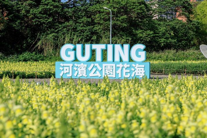 古亭河濱花海 繽紛綻放中5