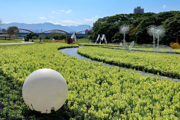 古亭河濱花海 繽紛綻放中13