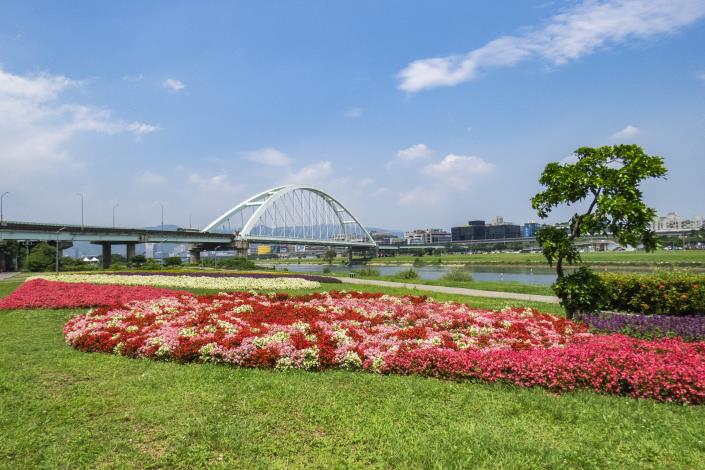 108年觀山河濱花海_蘇辰福攝 (3)