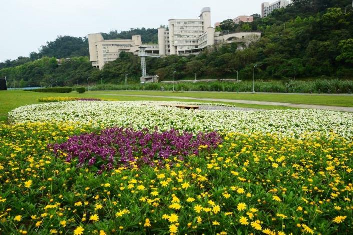 108年道南河濱花海_鄭捷輿攝 (2).JPG