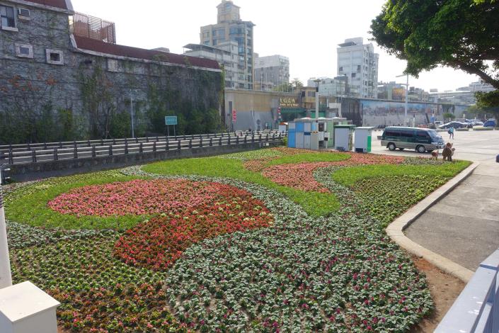 108年大稻埕花海 _曹正邦攝 (2)