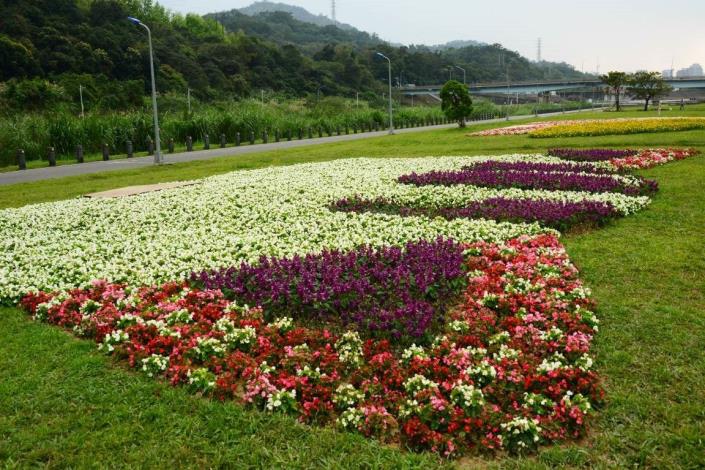 108年道南河濱花海_鄭捷輿攝 (1)