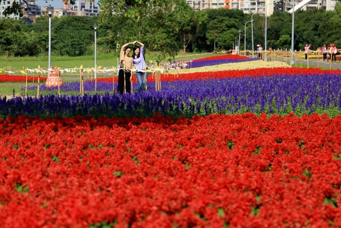 108年古亭河濱花海_ 王棟樑攝 (1)