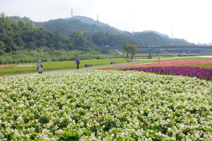 108年道南河濱花海_陳薇攝 (2)