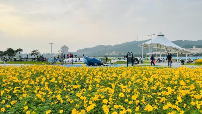 109年度大佳河濱花海 (5)