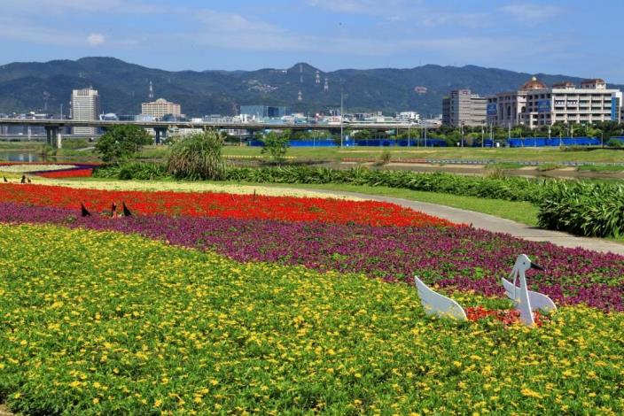 109年度觀山河濱花海_王棟樑拍攝  (3)