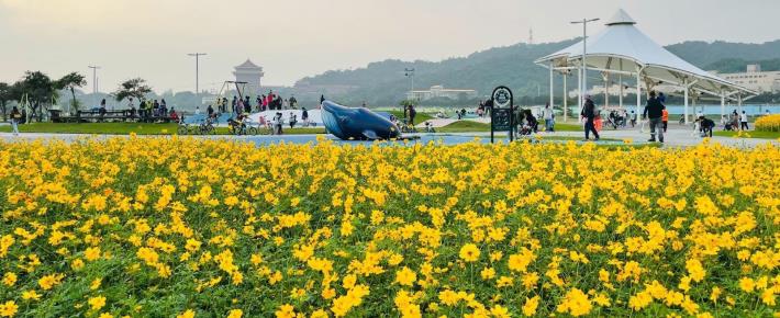 109年度大佳河濱花海 (1)