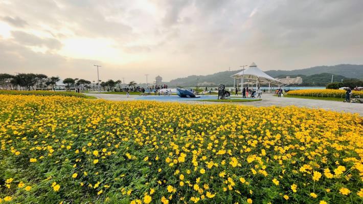 109年度大佳河濱花海 (2)