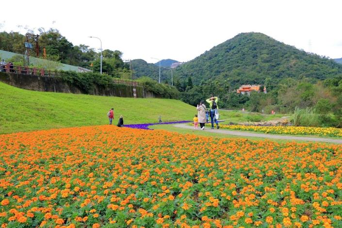 109年度大溝溪生態治水園區花海 (2)