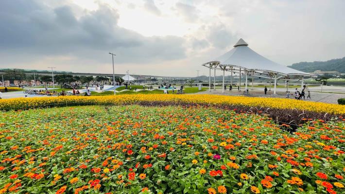 109年度大佳河濱花海 (3)