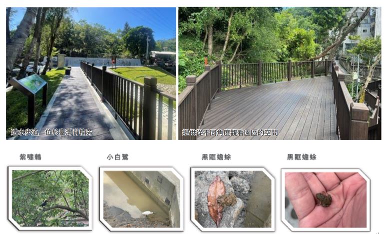 竹木棧道、友善生態