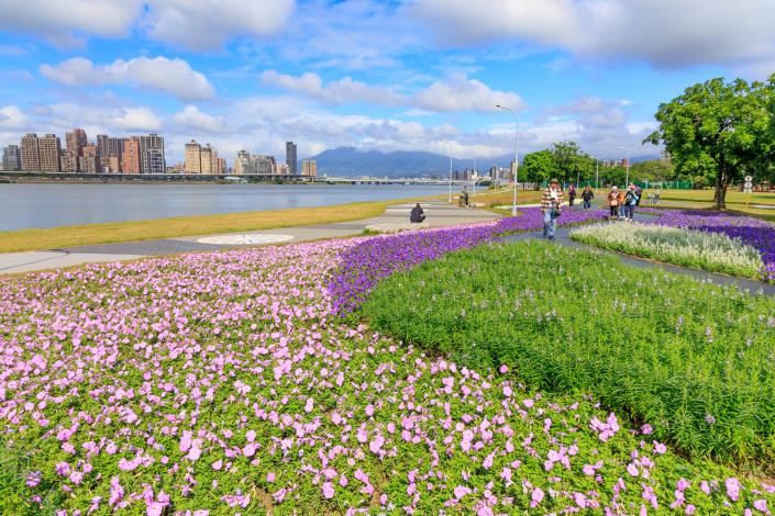 延平河濱花海  河畔花海