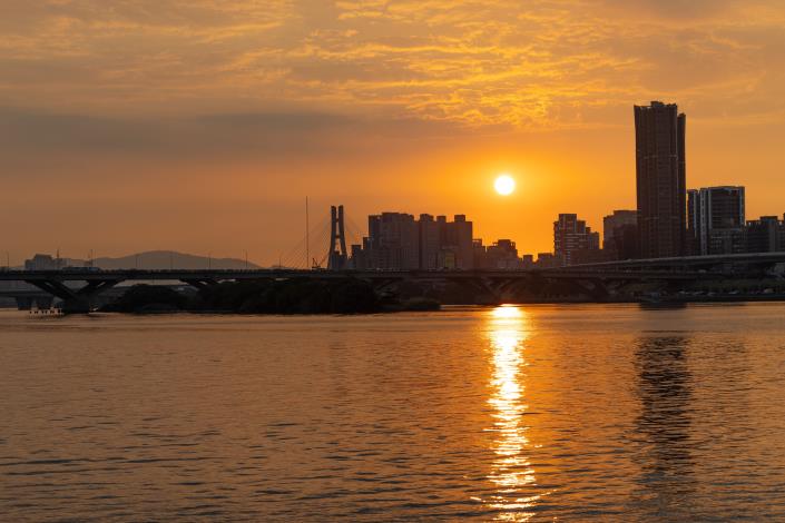 延平河濱花海 賞花賞夕陽