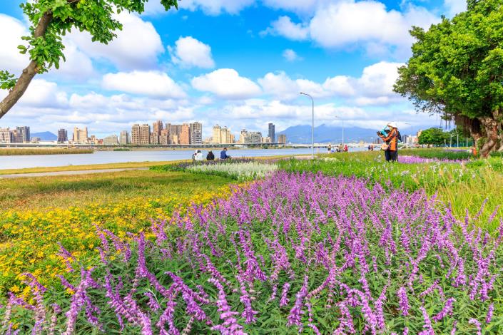 延平河濱花海 