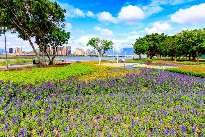 延平河濱花海  草花接力盛開中