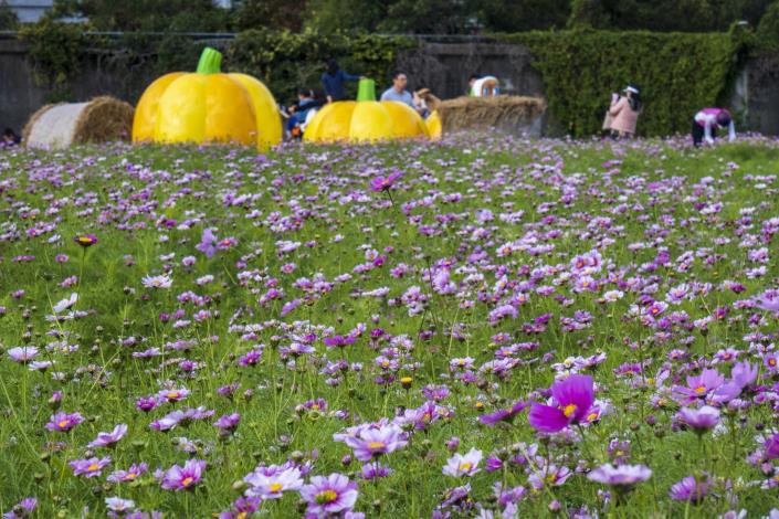 美堤河濱公園 童趣南瓜 稻草捆 好好拍