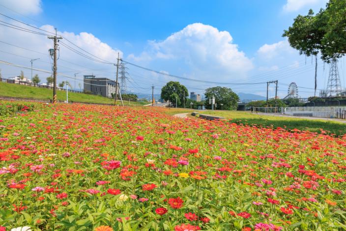 賞花賞景踏青去