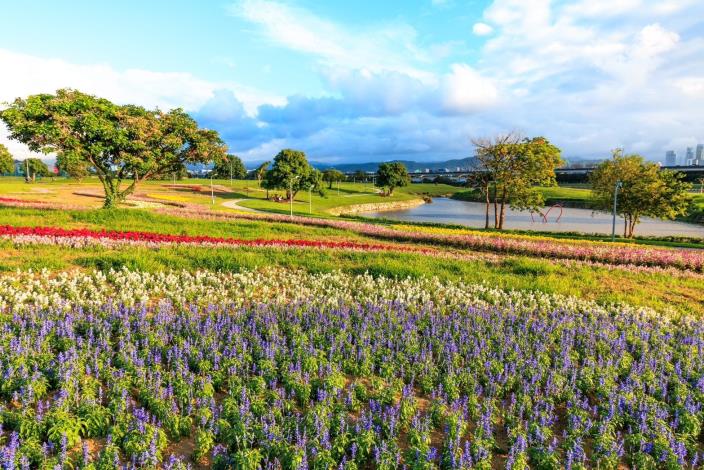 美堤解憂賞花好去處