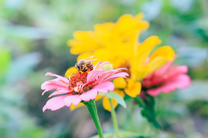 584748624_1295728632596177_7400039058455650561_n