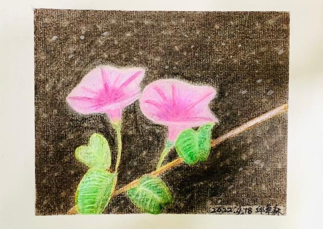 LINE_ALBUM_110.111年吳興樂齡色鉛插畫～秘密花園_220715_10