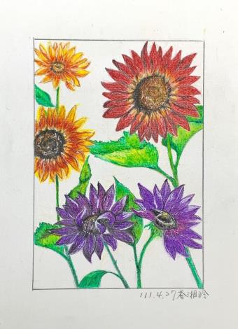 LINE_ALBUM_110.111年吳興樂齡色鉛插畫～秘密花園_220715_91